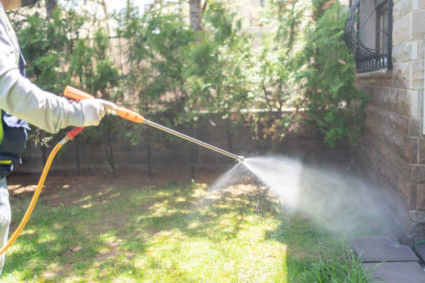 Best Seasonal Pest Control (e.g., summer mosquitoes, winter rodents)  in Marshall, IL